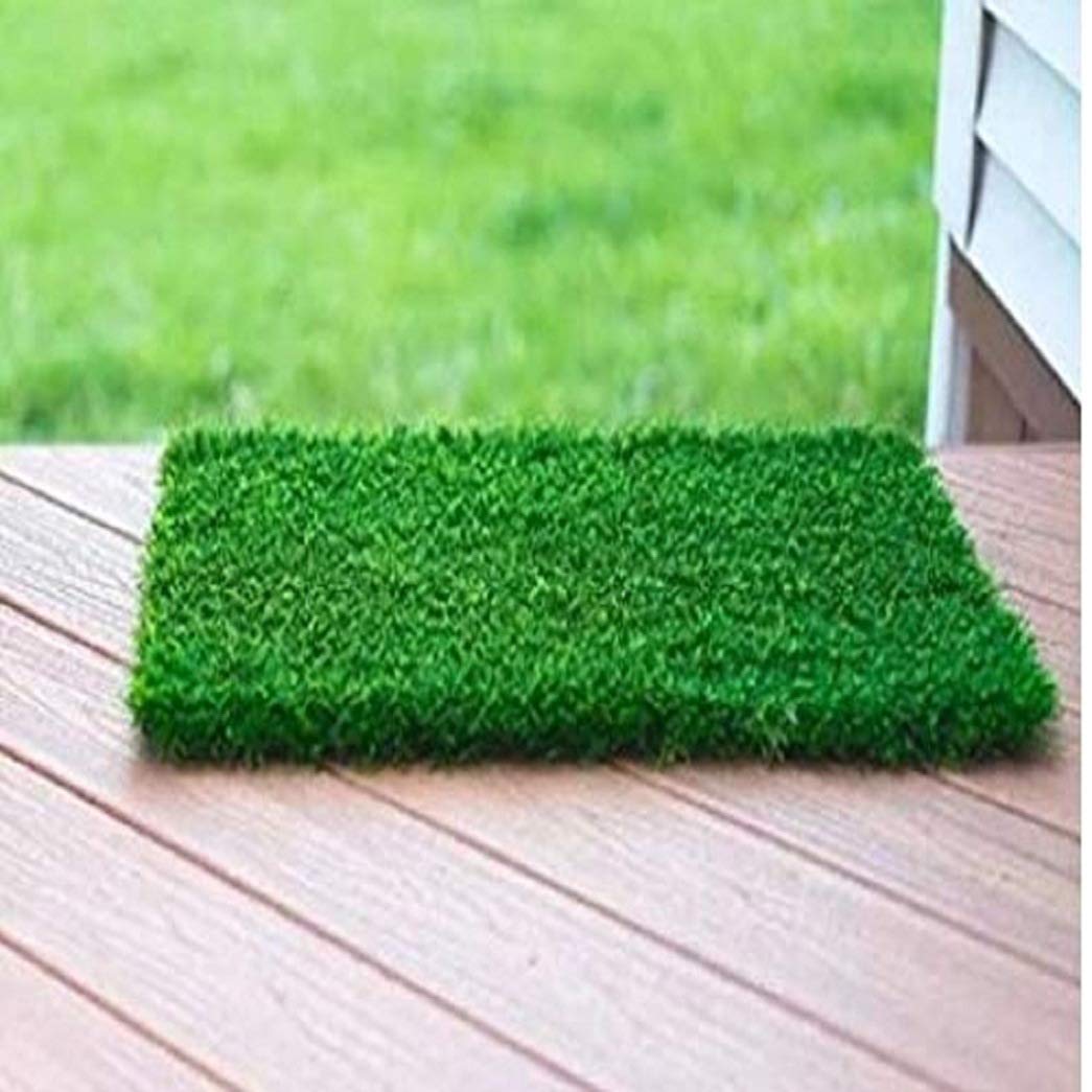Artificial Grass Carpet