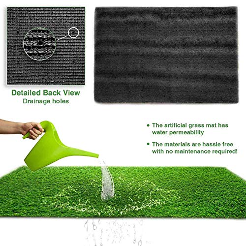 Green Grass Carpet