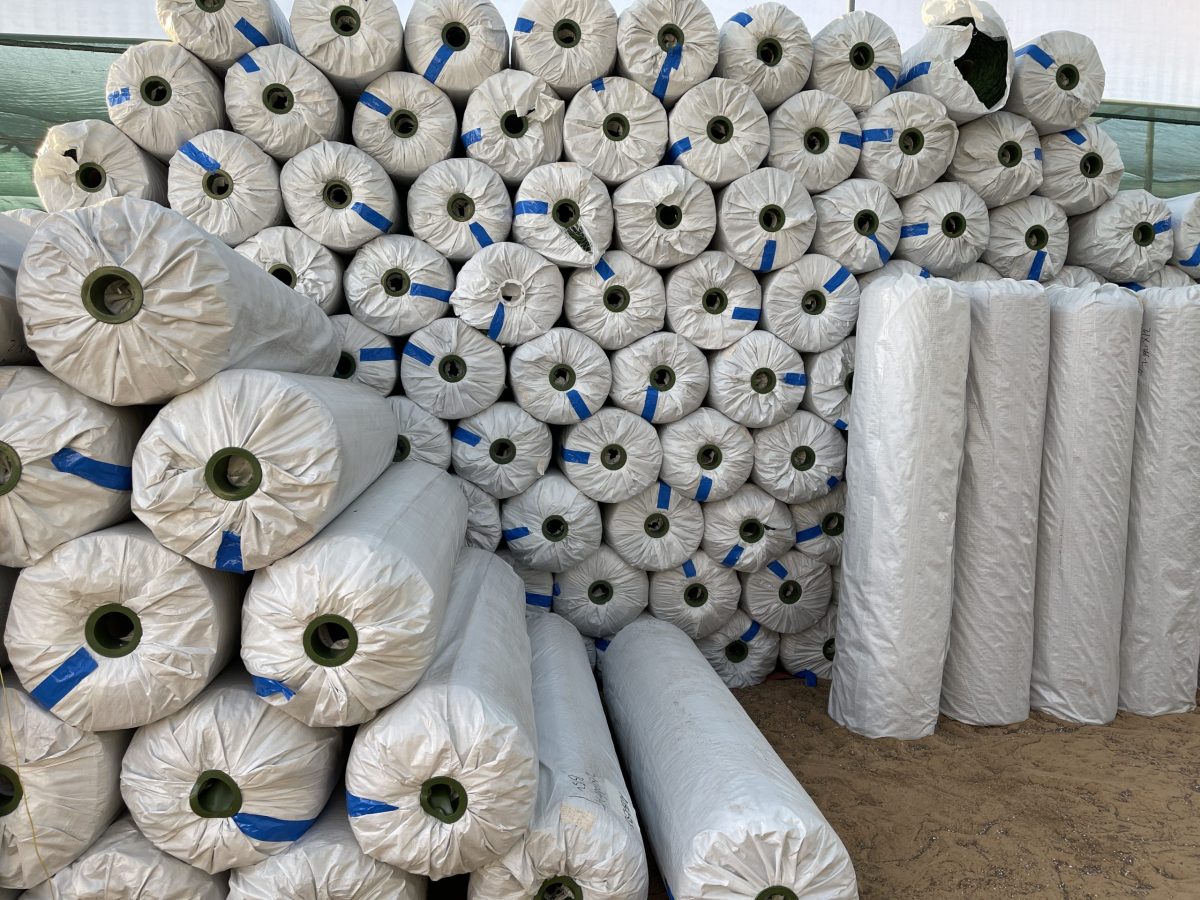 Artificial Grass Carpet wholesaler